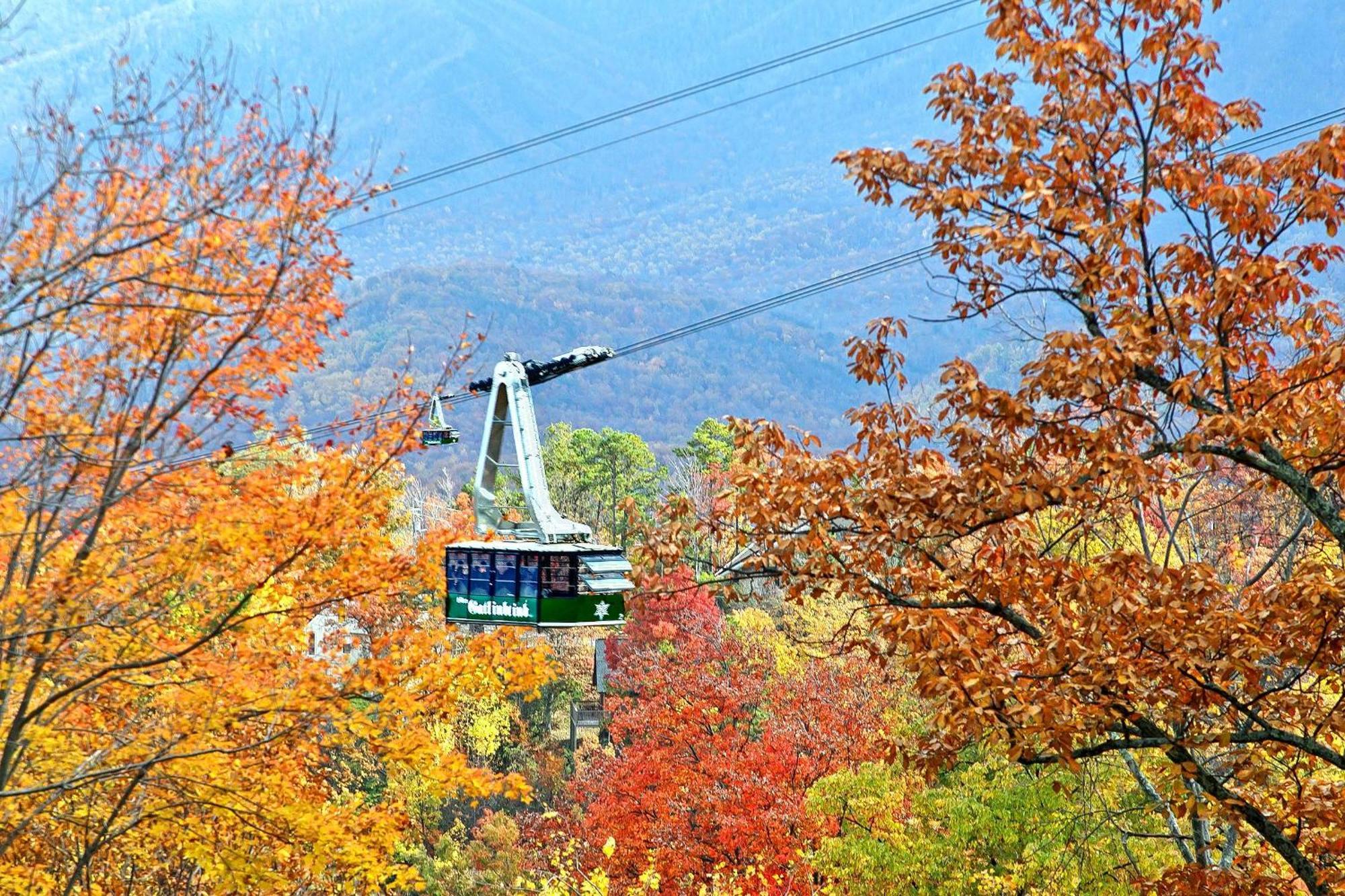 Villa Zen Garden #1523 Gatlinburg Esterno foto