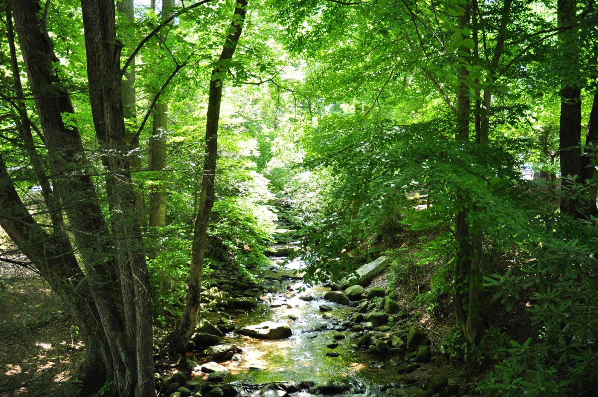 Villa Zen Garden #1523 Gatlinburg Esterno foto